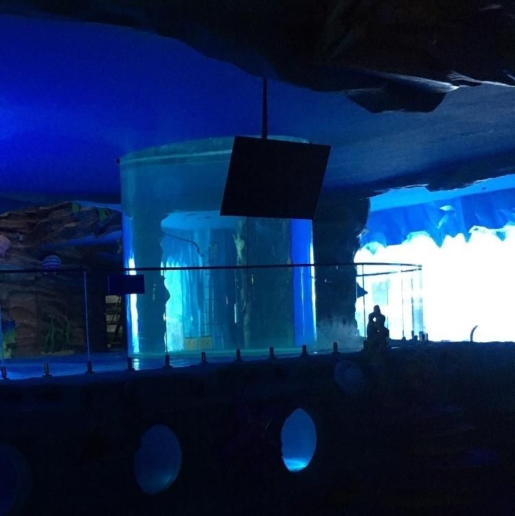 Cylindrical Acrylic Aquarium Tank Project
