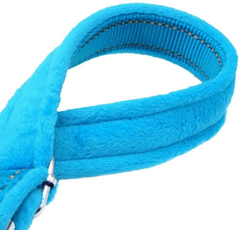Reflective Engraved Collar with Soft Velvet Lining