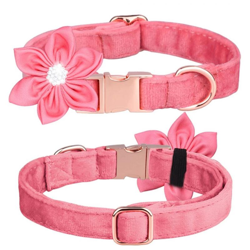 Pure Flowers Pet Collar Charming Dog Collar