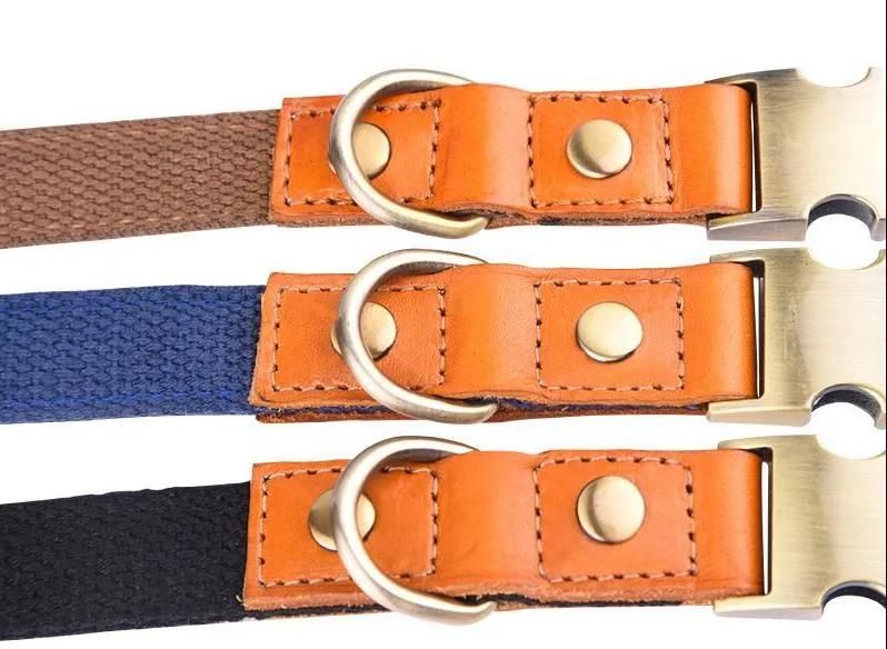 Sturdy Dog Collar with Leather Combination
