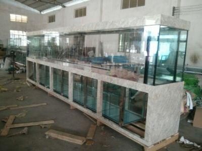Customized Large Commercial Fish Tank