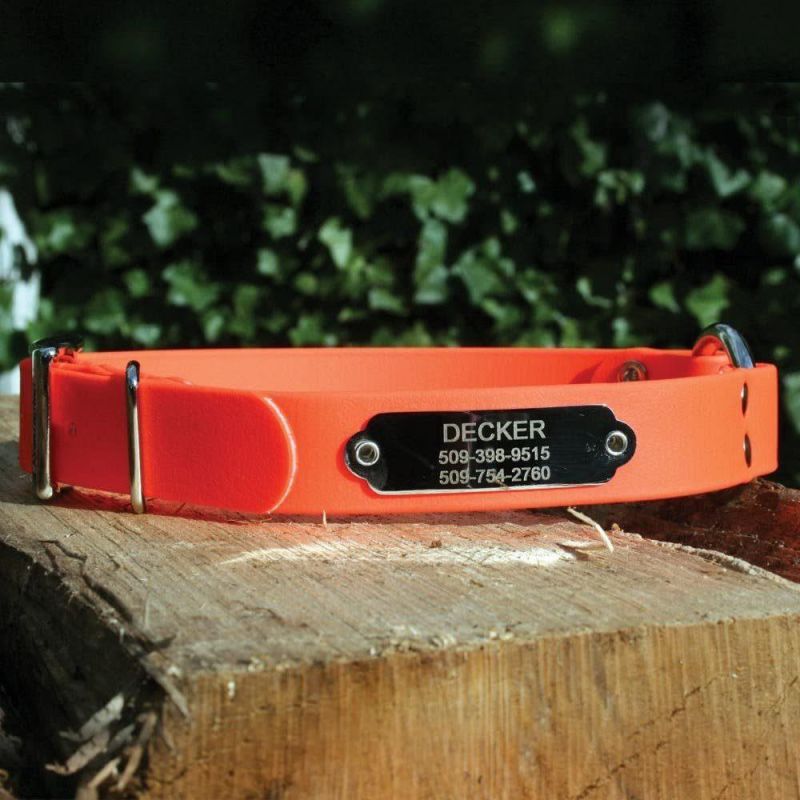 Waterproof Orange Hunting Dog Collar Resistant to Dirt