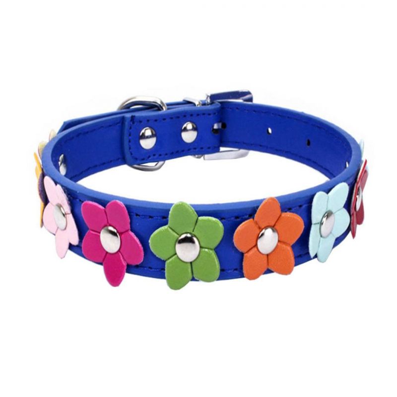 Charming Dog Collar with Beautiful Flowers Design