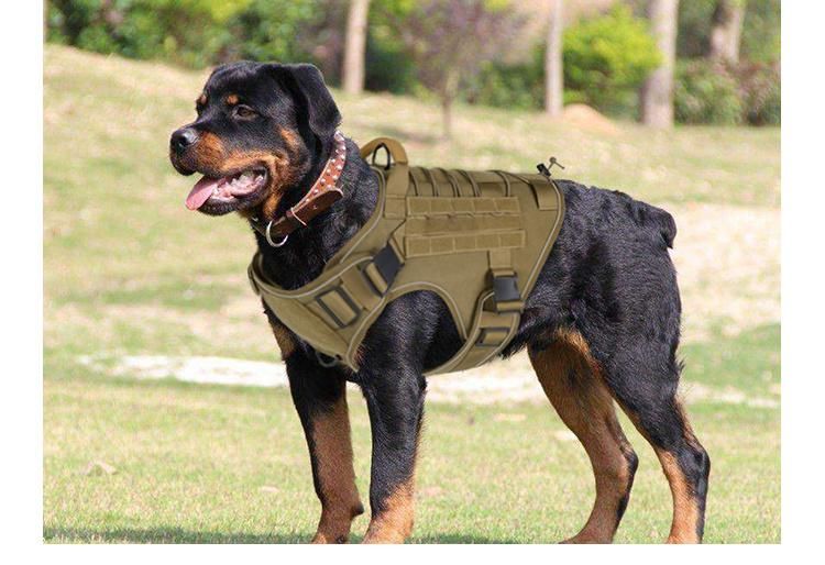 Arnes PARA Perro Tactical Dog Harness for Big Dog Customized Adjustable Outdoor Training Harness Set