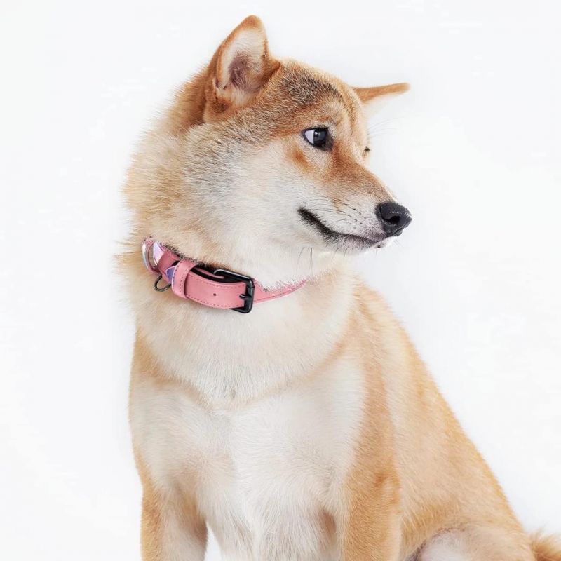 Heavy Duty Adjustable Weatherproof Dog Collar Leather Dog Collar
