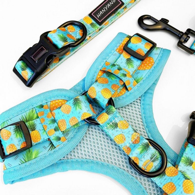 Harness for Dog, Adjustable Dog Harness, Customization in Pattern