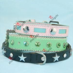 Newest Leather Pet Collar for Dogs and Cats (P-16)