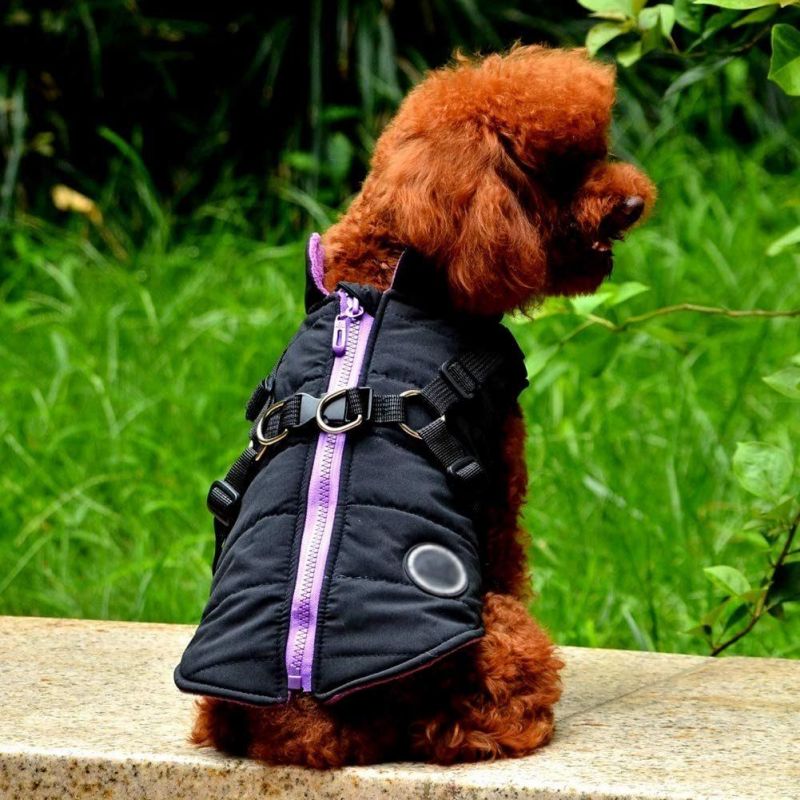 Comfortable and Skin-Friendly Winter Dog Jacket