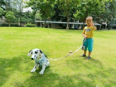 Customized Easy Walk for Dogs Extra Padding Comfortable Mesh Breathable Pet Harness/Best Dog Harness