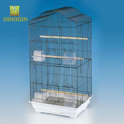 African Gray Parrot Bird Cages