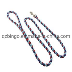 Bingo Paracord Dog Leash Colorful Hand-Made Leash