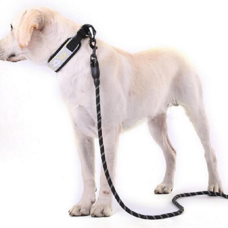 Dog Hand Holding Rope Reflective Round Nylon Rope out Traction