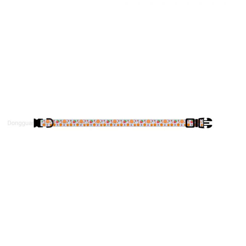New Summer Fruit Series Pet Collar, Orange Collar