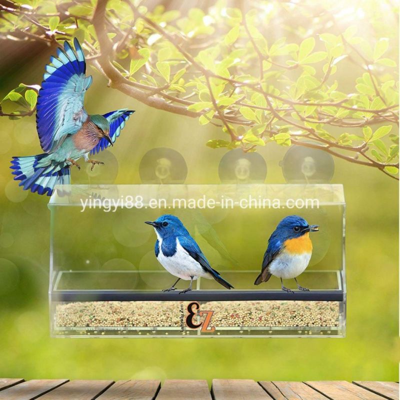 Super Strong Suction Cup Acrylic Bird Feeder