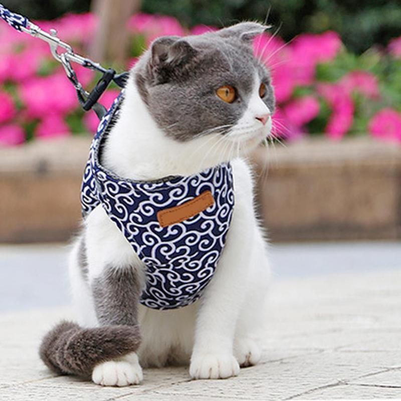 Fashion Pet Cat Vest Outdoor Travel Walking Harness Leash Set Wholesale Dog Clothing
