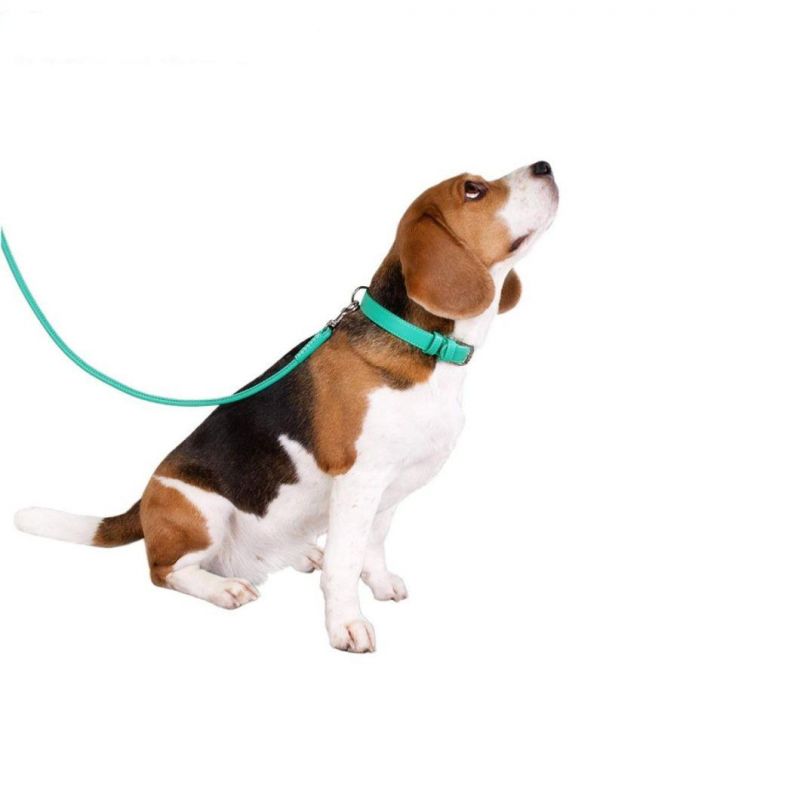 Hot Sale PU Leather Dog Collar for Medium and Large Pets with Durable Steel D-Ring and Metal Buckle