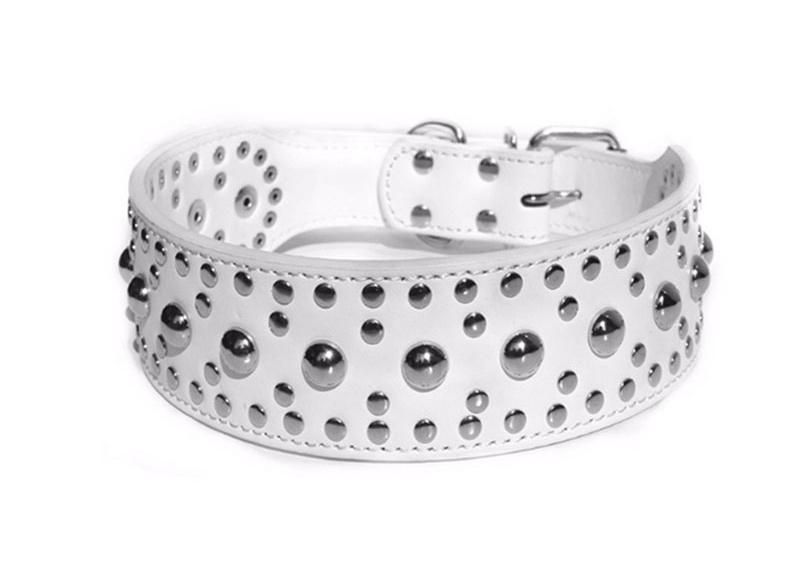 Large Pet Collar with Twinkling Rivet Studded