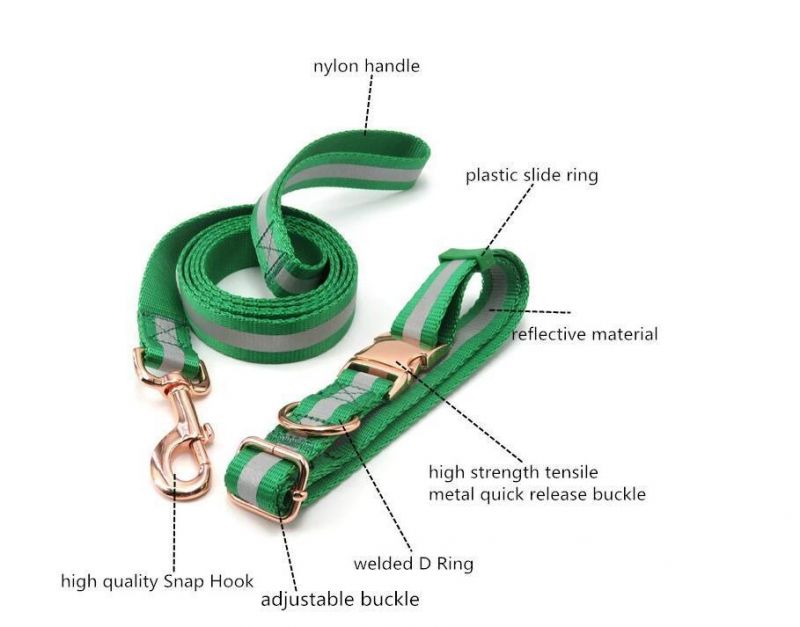 Wholesale Minimum Order Print Adjustable Nylon Dog Collar with Leash