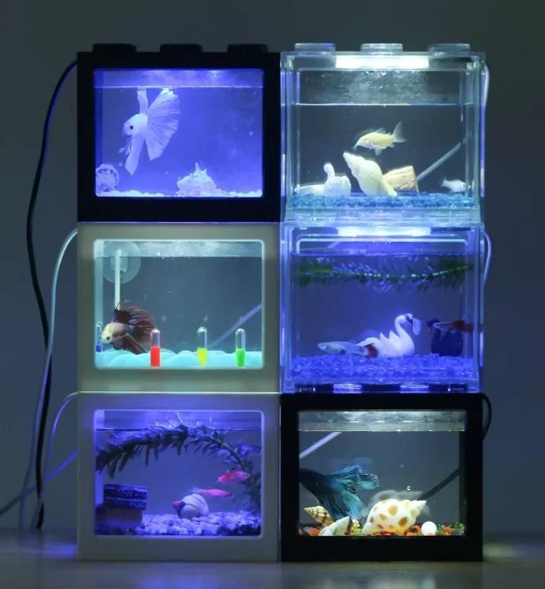 Wholesale Aquarium Fish Tank Acrylic Fish Tank for Sale Mini Fish Aquarium Price Good