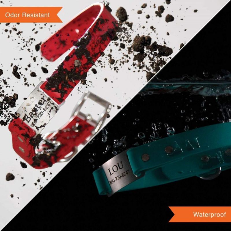 Dog ID Personalized Waterproof Dog Collar