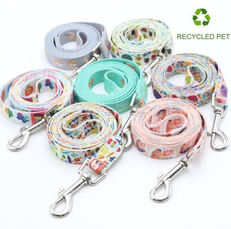 RPET Custom Logo Dog Leash and Collar Set Sublimation Pet Running Leash