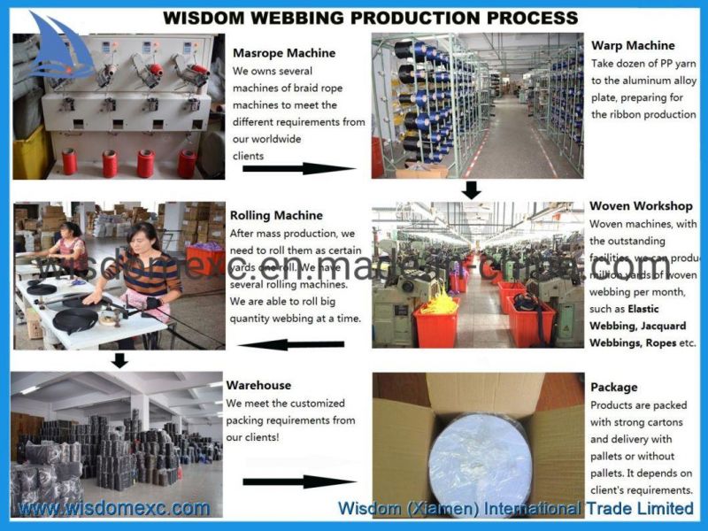 Sample Free Manufacture Stock Dog Leash and Collar