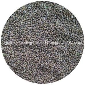 High Quality Hemp Seed for Bird