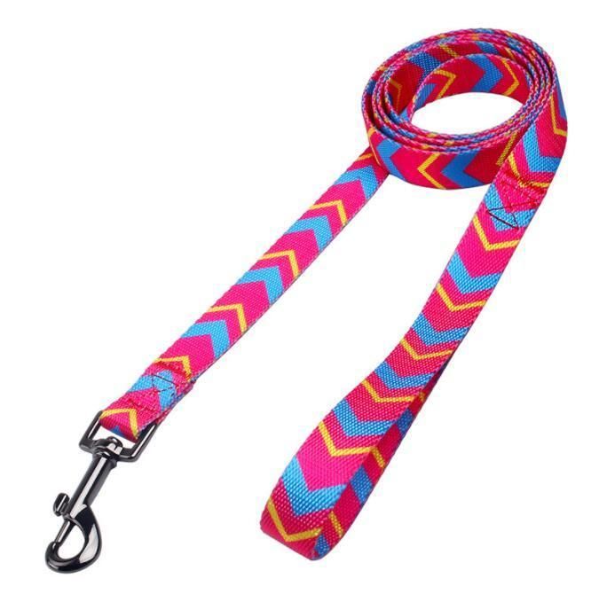 Gradient Dog Collar Durable and Fashionable Style