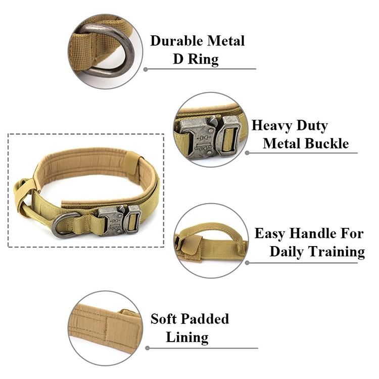 Outdoor Pet Collar and Dog Leash Set Explosion-Proof