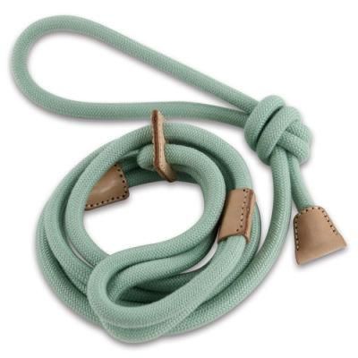Hot Sale Creative Design Manufacture Durable No Pull Nylon Rope Slip Lead Dog Leash Luxury Climbing Dog Rope Leash