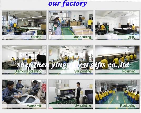 Best Selling Acrylic  Reptile Products Shenzhen Factory