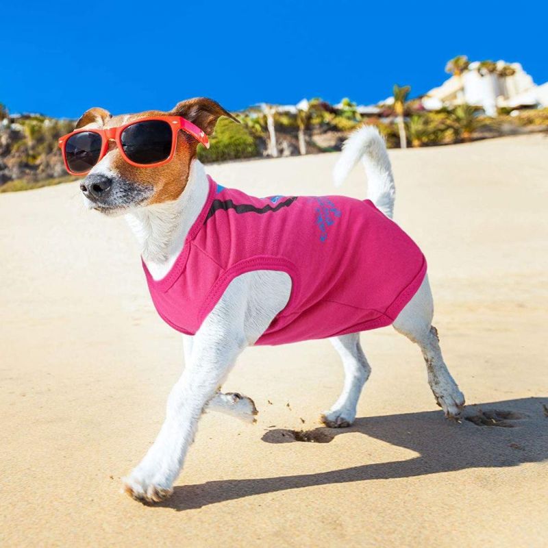 Cute Pattern Design Summer Dog T-Shirt