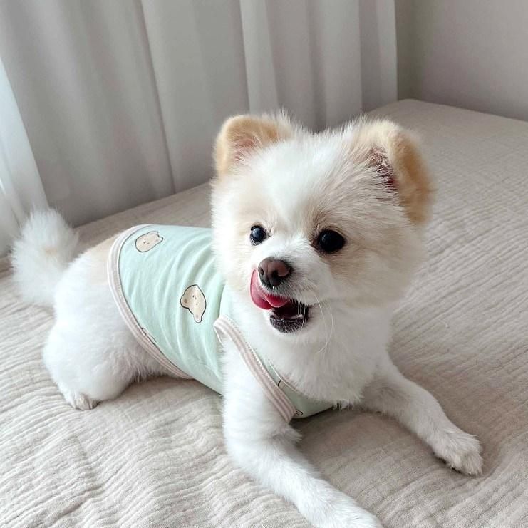 Printed Summer Pets Tshirt Puppy Dog Clothes Pet Cat Vest Cotton T Shirt Pug Apparel Costumes Dog Clothes for Small Dogs
