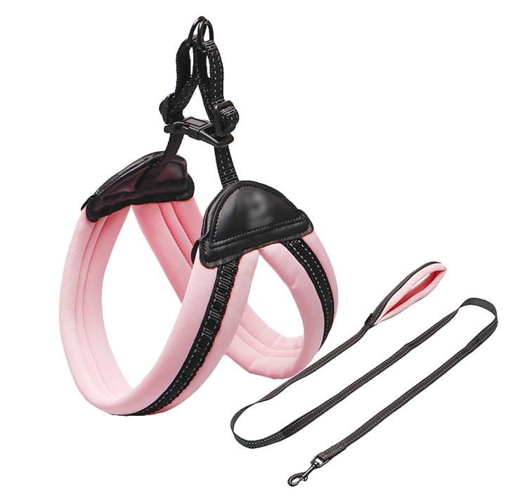 New Design High Quality Polyester New Dog Harness and Leash Set for Walking Dog