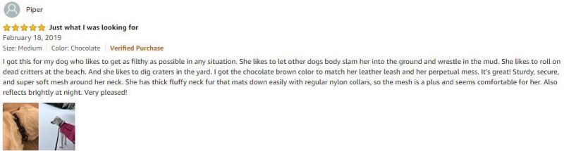 Breathable Mesh Padded Ergonomic Pet Collar Cat Collars