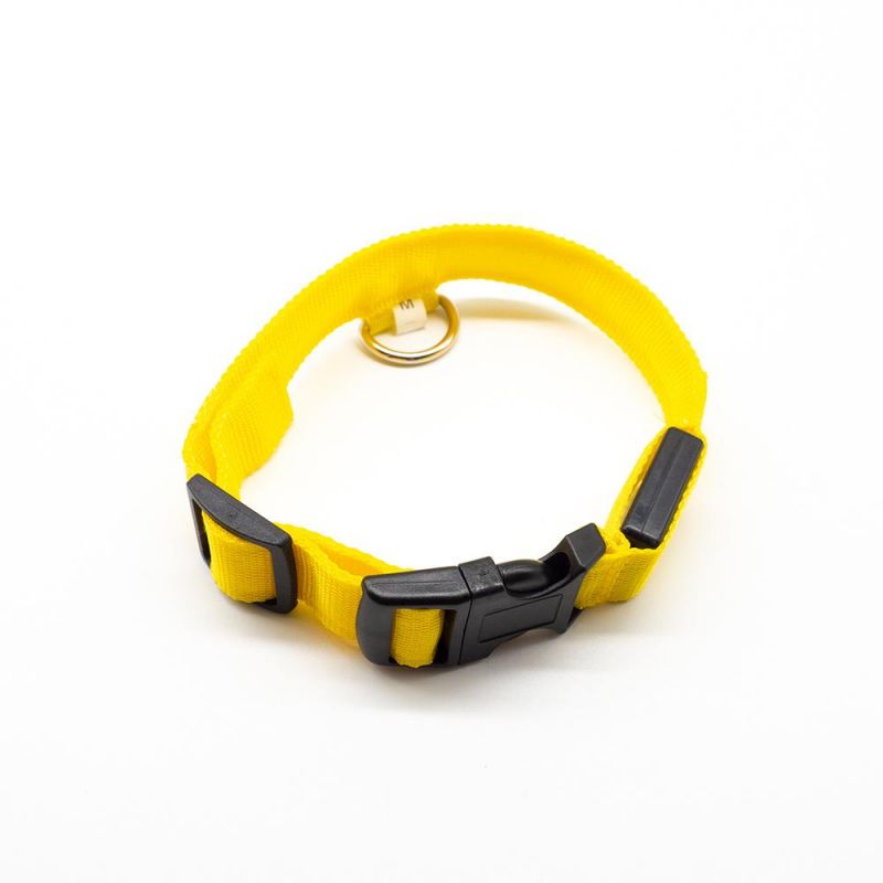 Colourful Supply Professional Cheap Price New Coming LED Pet Collar