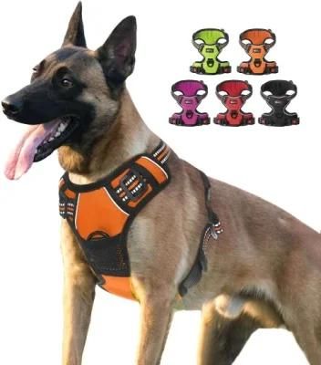 Personalized for Train Dog Harness