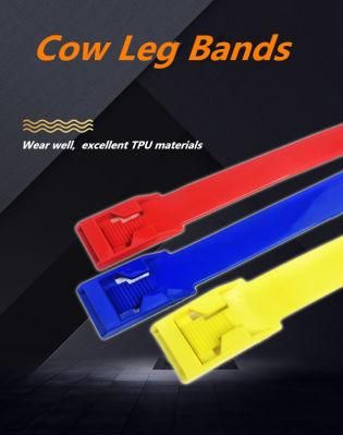 Reusable Plastic Leg Bands for Cow and Cattle