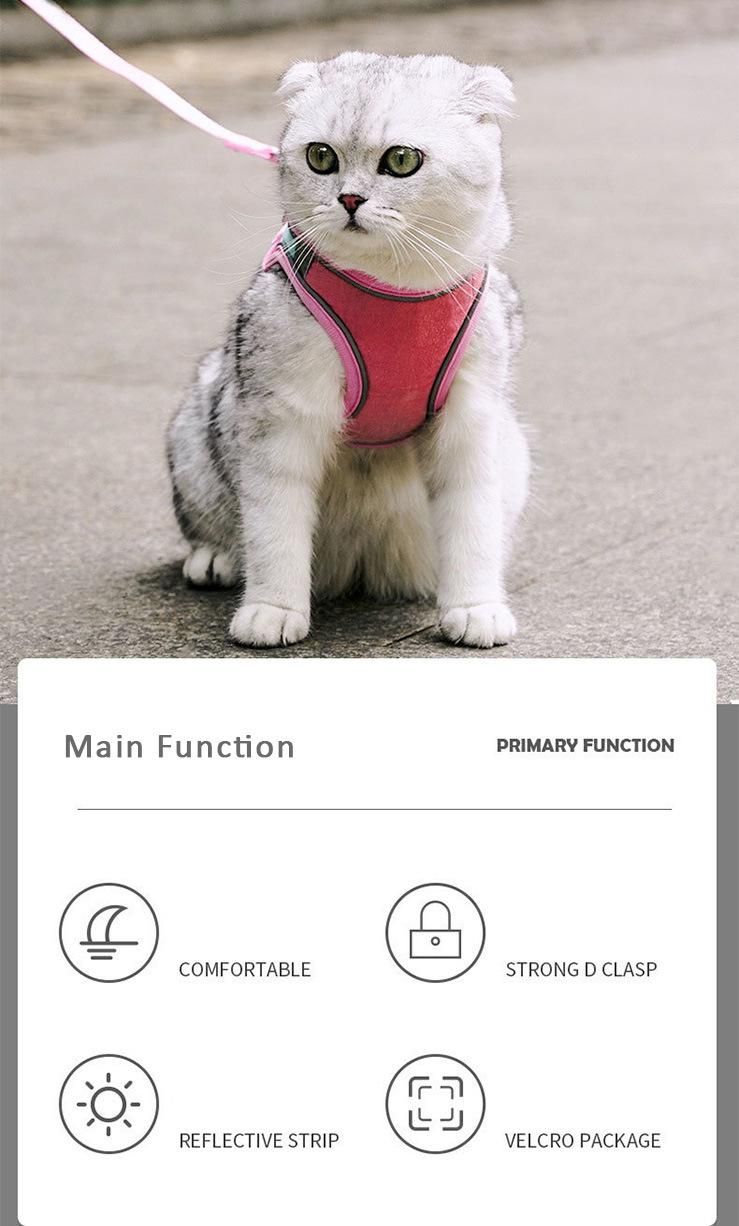 Factory Supply Dog Harness and Leash Set Breathable Dog Vest