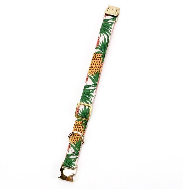Fashion Design Cotton Webbing Lining and Custom Printed Polyester Dog Collar and Leash with Stainless Buckle