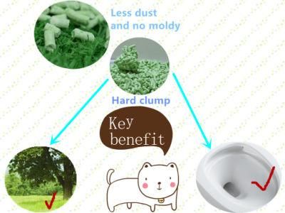 Supply Quality Green Tea Tofu Cat Litter