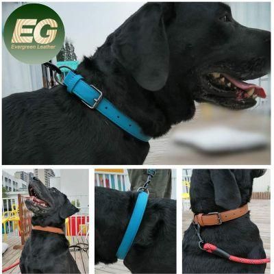 Ea101 Divtop Pet Collars Logo Wholesale Fashion Waterproof Metal Buckle Custom Luxury Dog Collar Leather