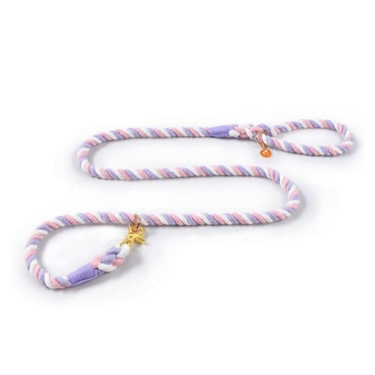 Gradient Soft Rope Dog Leash with Small MOQ and Fast Delivery