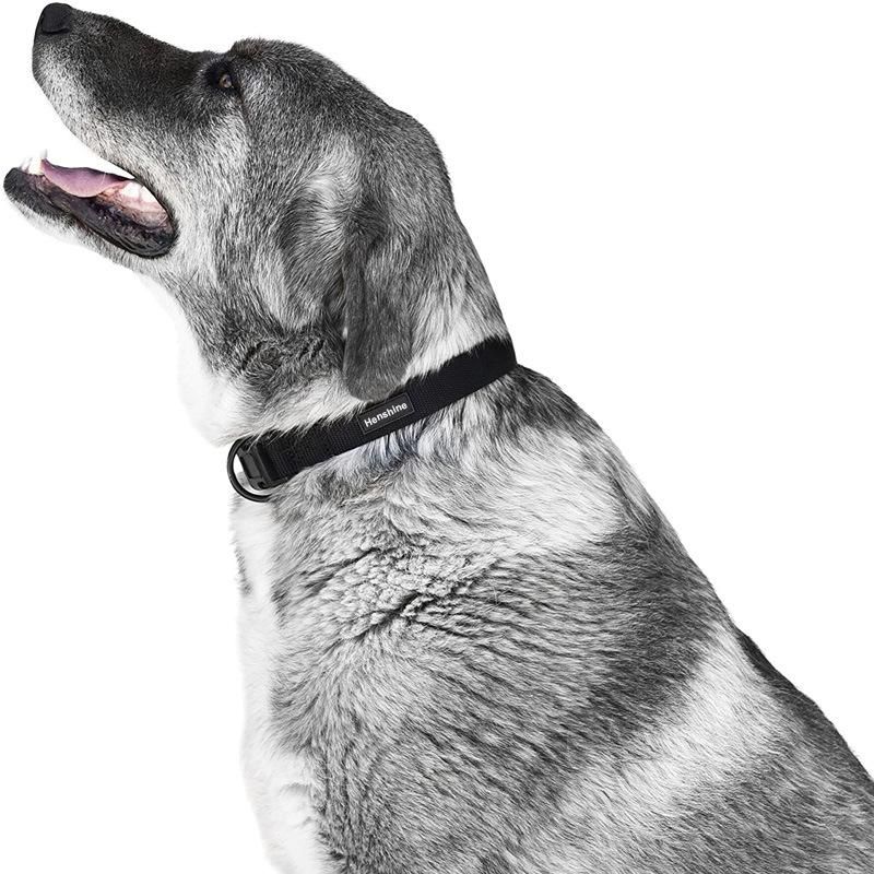 Classic Comfort Dog Collar Premium Nylon Neoprene Padded Dog Collar for Small, Medium, Large or Xlarge Sized Dogs