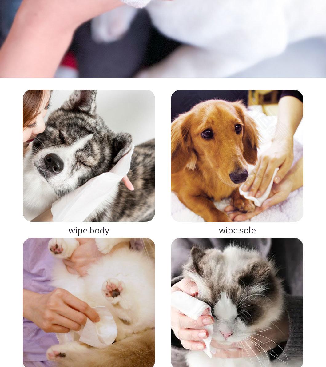 OEM Custom Deodorant Anti-Bacteria Non-Woven Pet Wipes Cat/Dog Wipes, Eyes/Ears