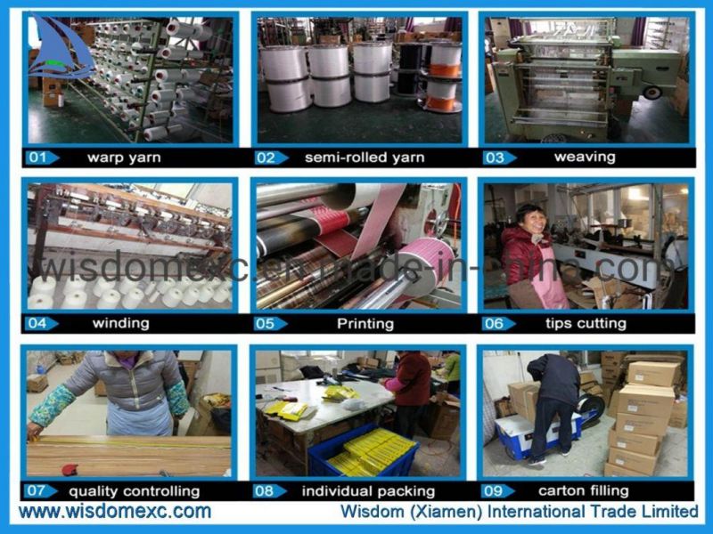 Recycled Polyester Webbing Pattern Printing Tape for Pets Products
