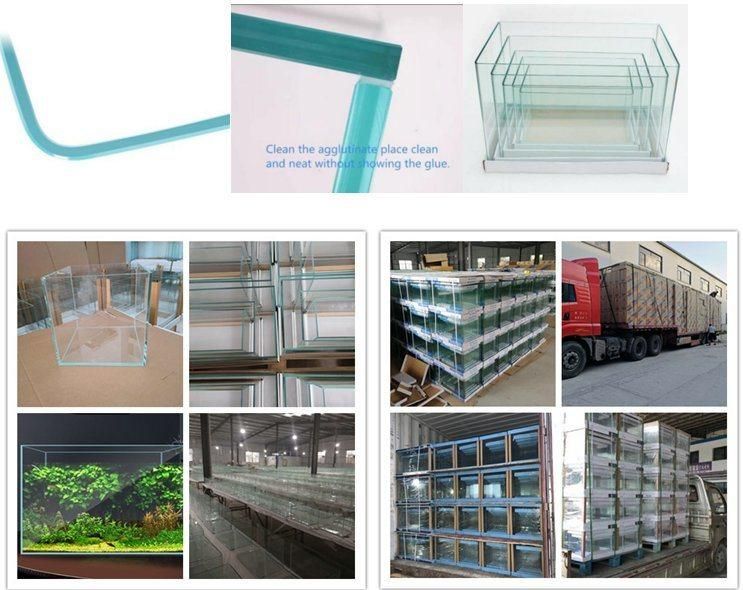 Cheap Price Export Sales of Household Fish Aquaculture Tank Ecological Fish Tank