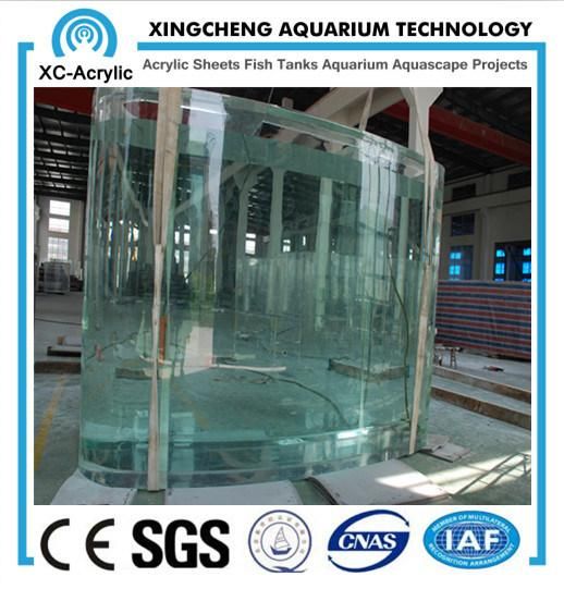Particular Acrylic Fish Tank