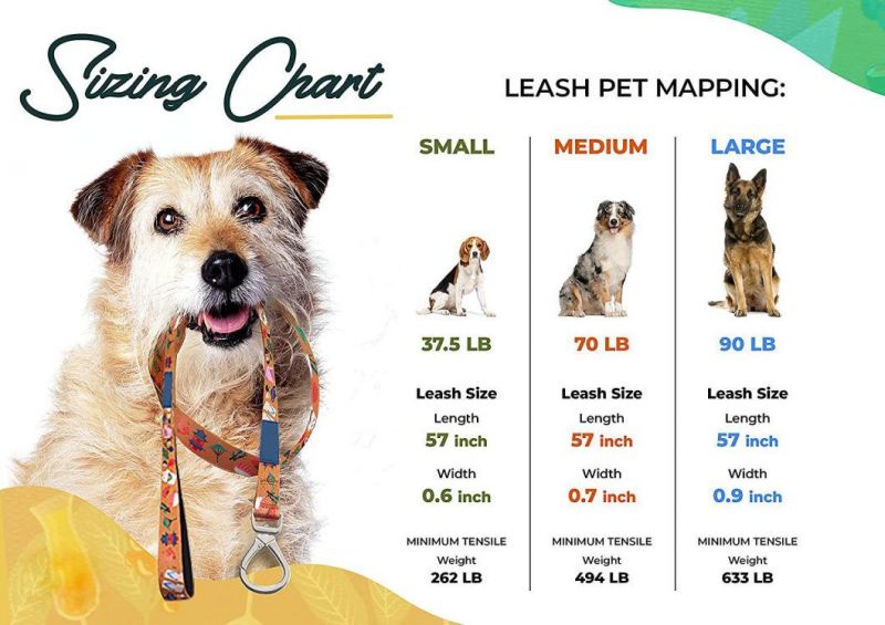 Factory Wholesale Custom Logo & Patten Quality Cheap Dog Products No Pull Polyester Pet Dog Leashes