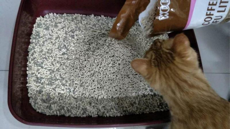 Coffee Tofu Cat Litter with Clumping and Easy Clean